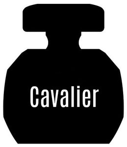 Cavalier Notes Similar To Cavalli Women®