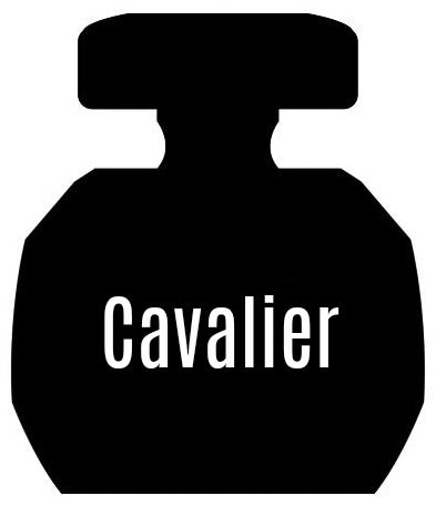 Cavalier Notes Similar To Cavalli Women®