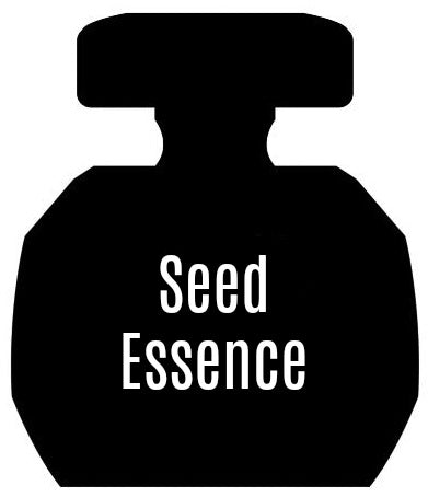 Seed Essence Notes Similar To Vanilla & Anise®